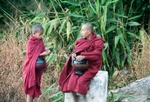 little monk plus big monk_edited-1