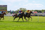 Race 1 13.55pm Pennine Brewing Company Novice Stakes portfolio