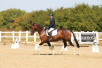 SBM_017881