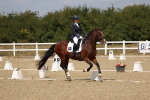 SBM_021871
