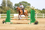SBM_004140