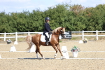 SBM_013846