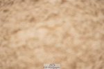 240317A-111430-05512