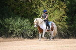 WJ6_9219