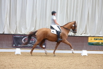 SBM_001717