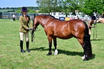 SBM_08061