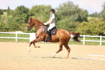 SBM_002798