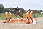 BPP_6537