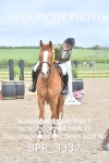 BPP_3337