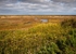 Stiffkey Marshes (01)