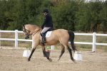 SBM_015676