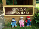 Newlyn Downs Halt