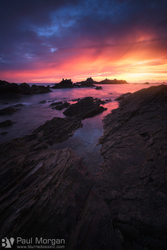 Down on the Rocks