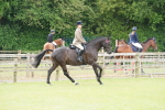 SBM_12936
