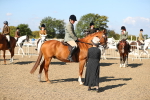 SBM_02357