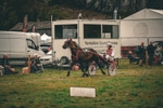 DSCF7118