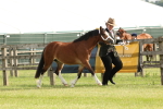 SBM_00387