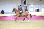 SBM_08998