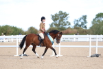 SBM_08982
