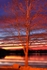 Perrysburg Docks at Sunset