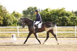 SBM_008501