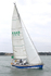 190803 ZEST K536 1Y3A7705