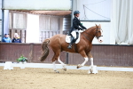 SBM_003235