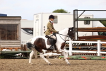 SBM_03691