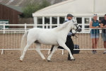 SBM_08456