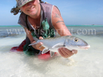 Wild Bonefish 2010.