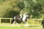 SBM_67452