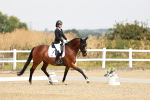 SBM_002641