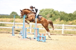 SBM_000714