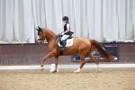 SBM_003690