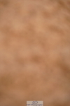 240526A-091656-07061