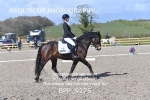 BPP_9275