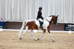 SBM_001644