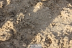 241027-152109-18276