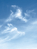 SUMMER SKY