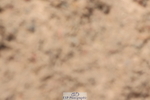 240629A-113852-04618