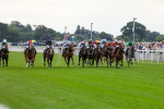 Race 6 4.45pm IRE Incentive, It Pays To Buy Irish Fillies' Handicap portfolio