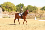 SBM_000412