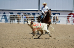 3HRodeo8-11-25_PRCASteer_04528_
