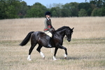 WJ7_7619