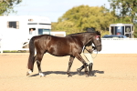 SBM_08305