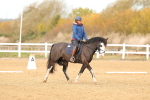 SBM_000647