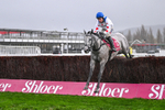 141125-Race 4-LEau du Sud-0421
