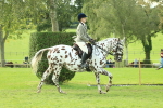 SBM_62417