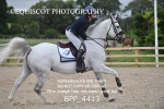 Senior Foxhunter/ 1.20m Open portfolio