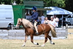 WJ7_3397